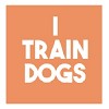 I train dogs